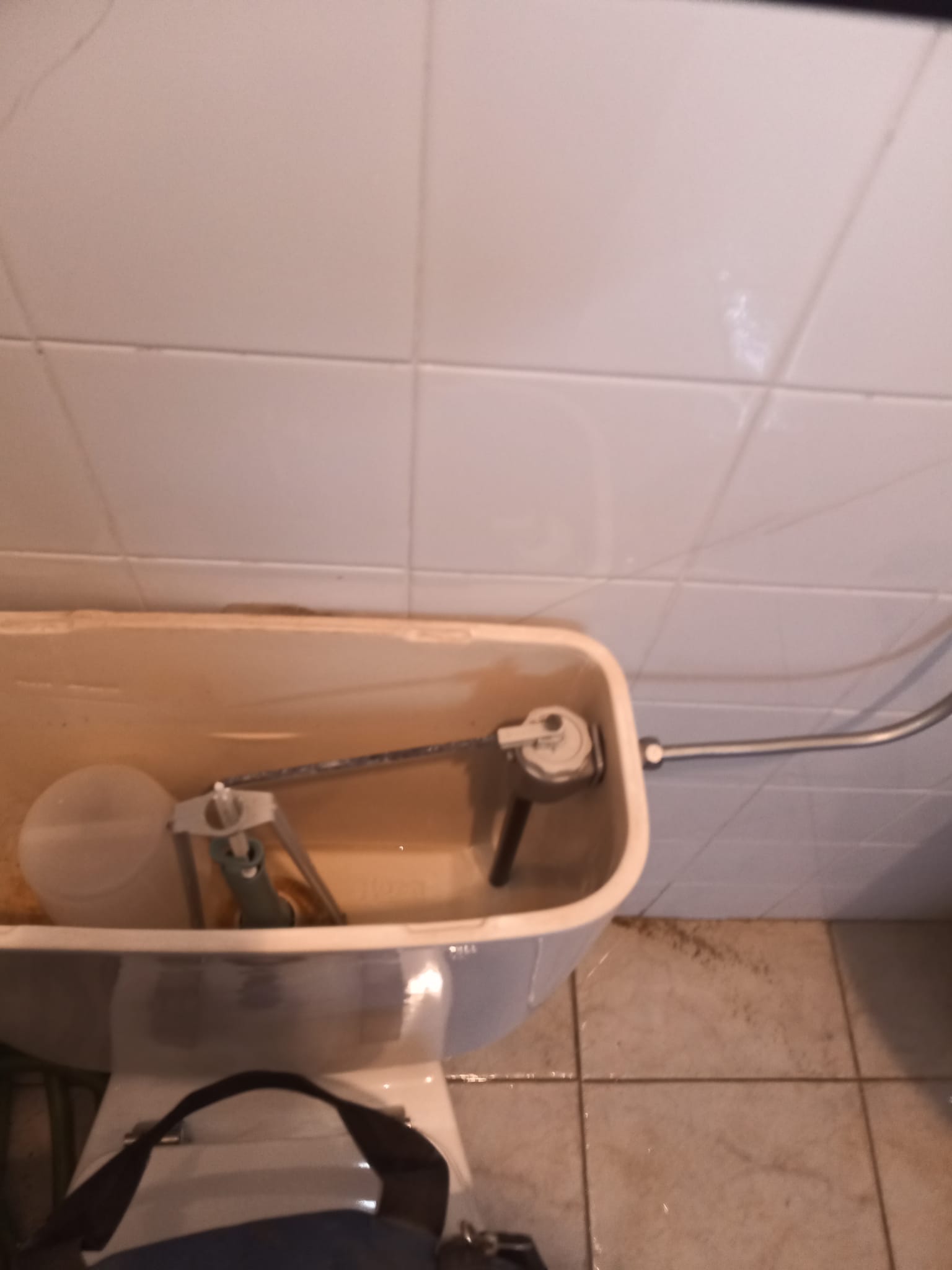 Trabalho realizado pela Alexa Repara — projeto 22