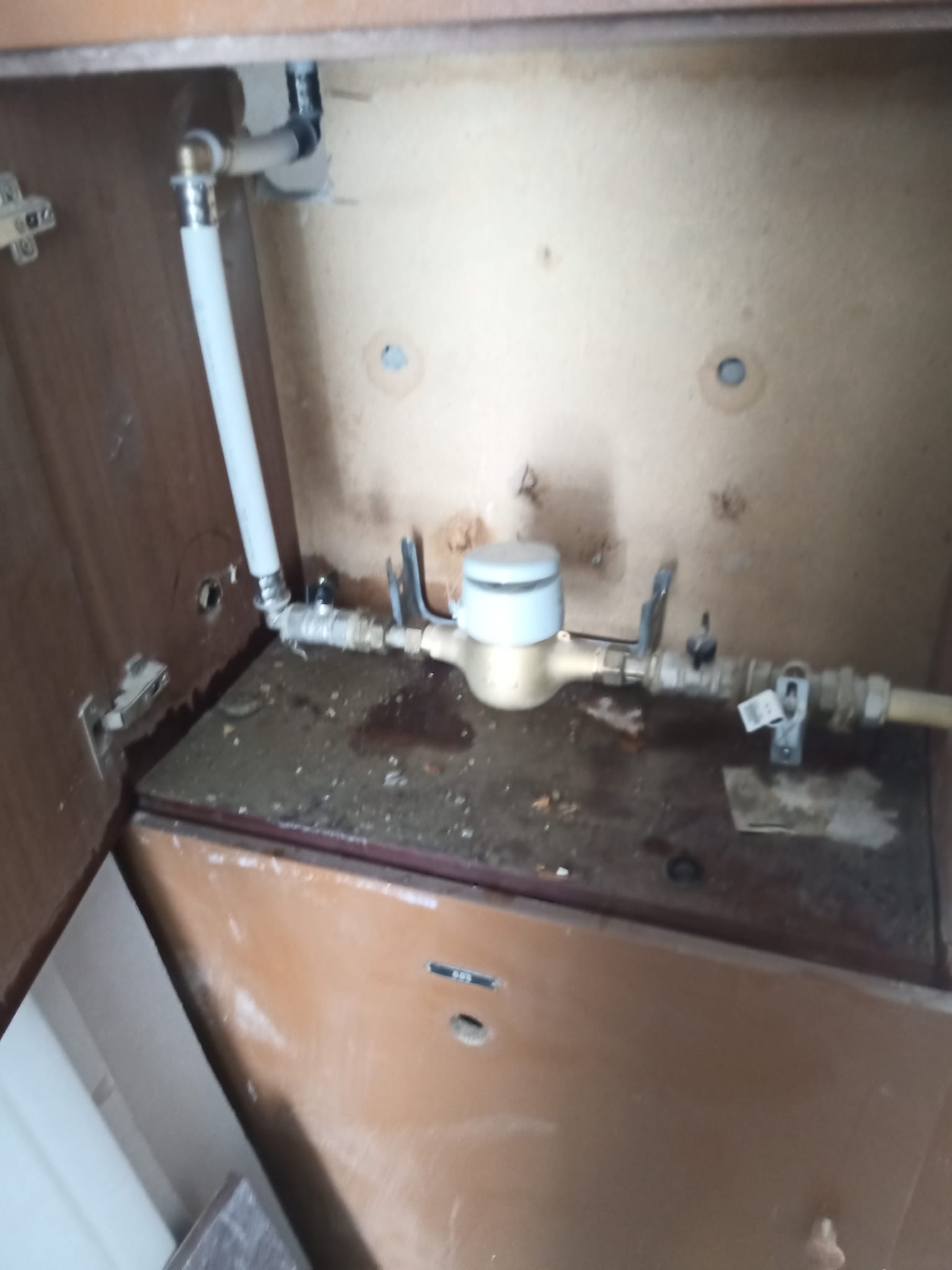 Trabalho realizado pela Alexa Repara — projeto 29