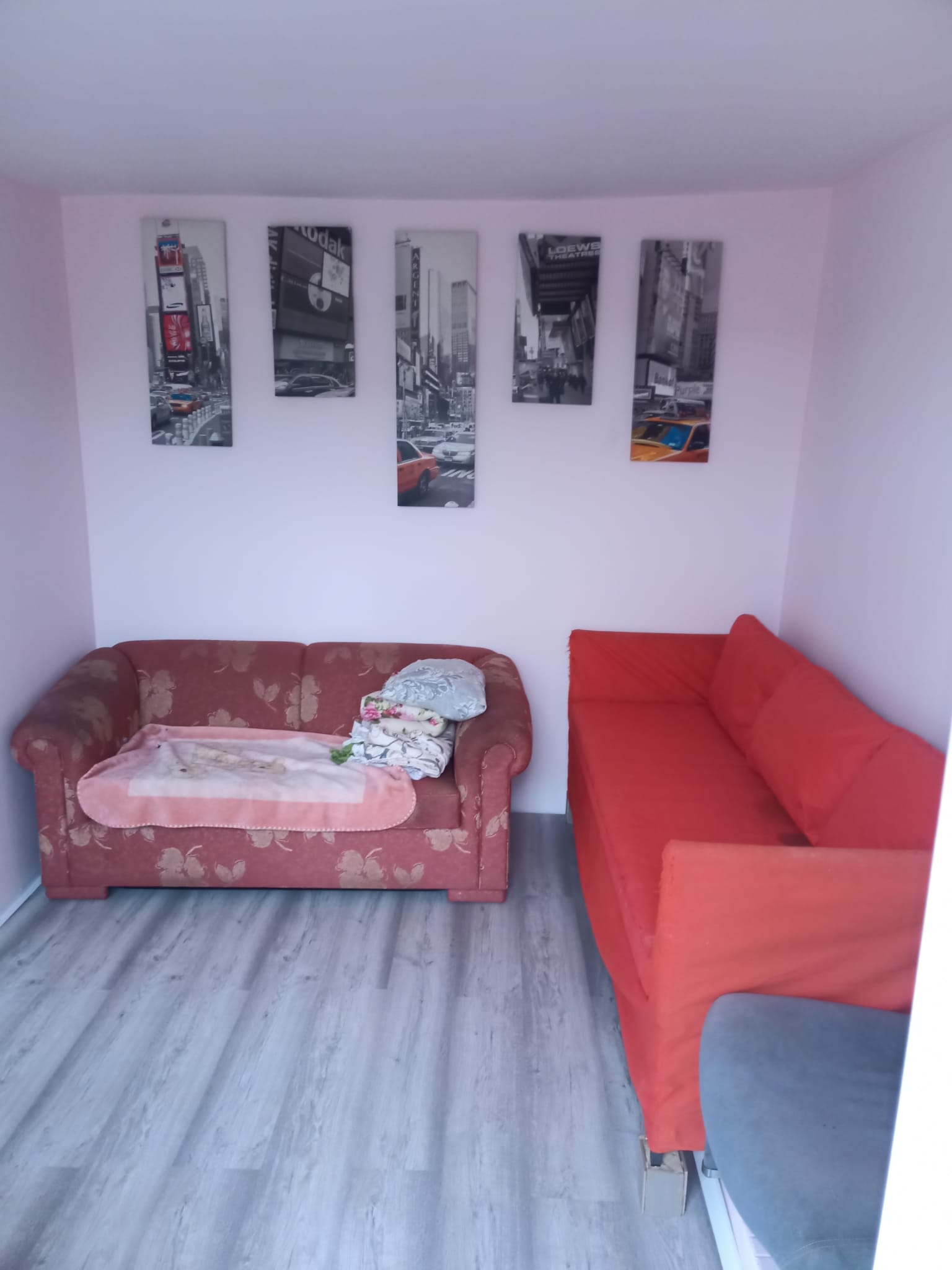 Trabalho realizado pela Alexa Repara — projeto 33