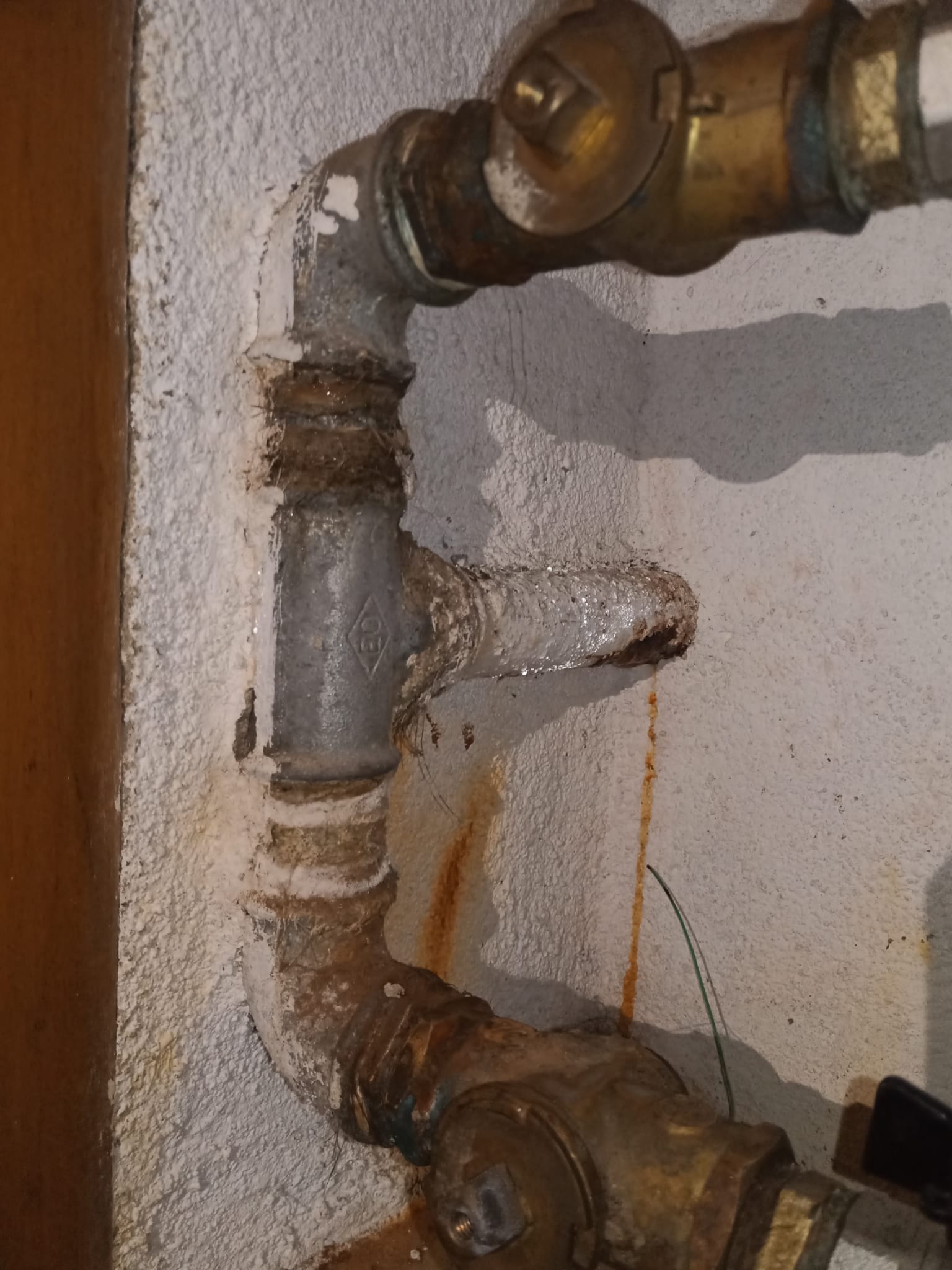 Trabalho realizado pela Alexa Repara — projeto 51