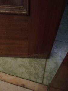 Projetos